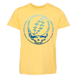 Grateful Dead Blue Stripes Stealie Youth T