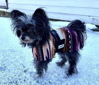Plum Navajo Dog Coat
