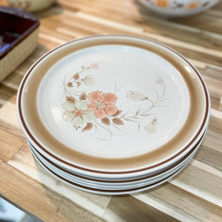 Vintage Mid-Century Hearthside Water Colors Blush Dinner Plates