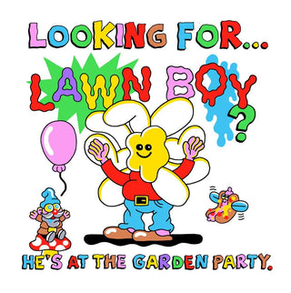 Looking For Owls Book