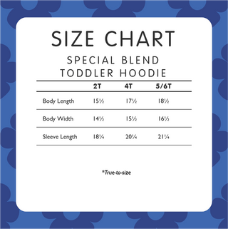 Grateful Dead Stealie Raglan Toddler Hoodie