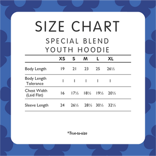 Grateful Dead Stealie Raglan Youth Hoodie