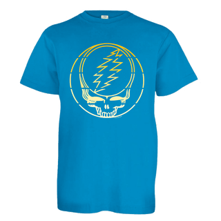 Grateful Dead Yellow Stripes Stealie Youth T