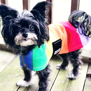 Rainbow Pride Fleece Dog Coat / Snug Pups | Little Hippie