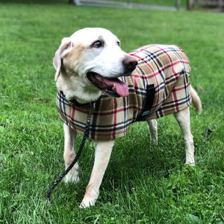 London Camel Plaid Fleece Dog Coat / Snug Pups | Little Hippie