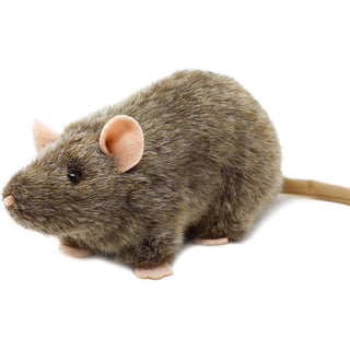 Reuben The Rat