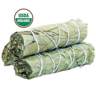 Eucalyptus Sage 4" Smudge Stick