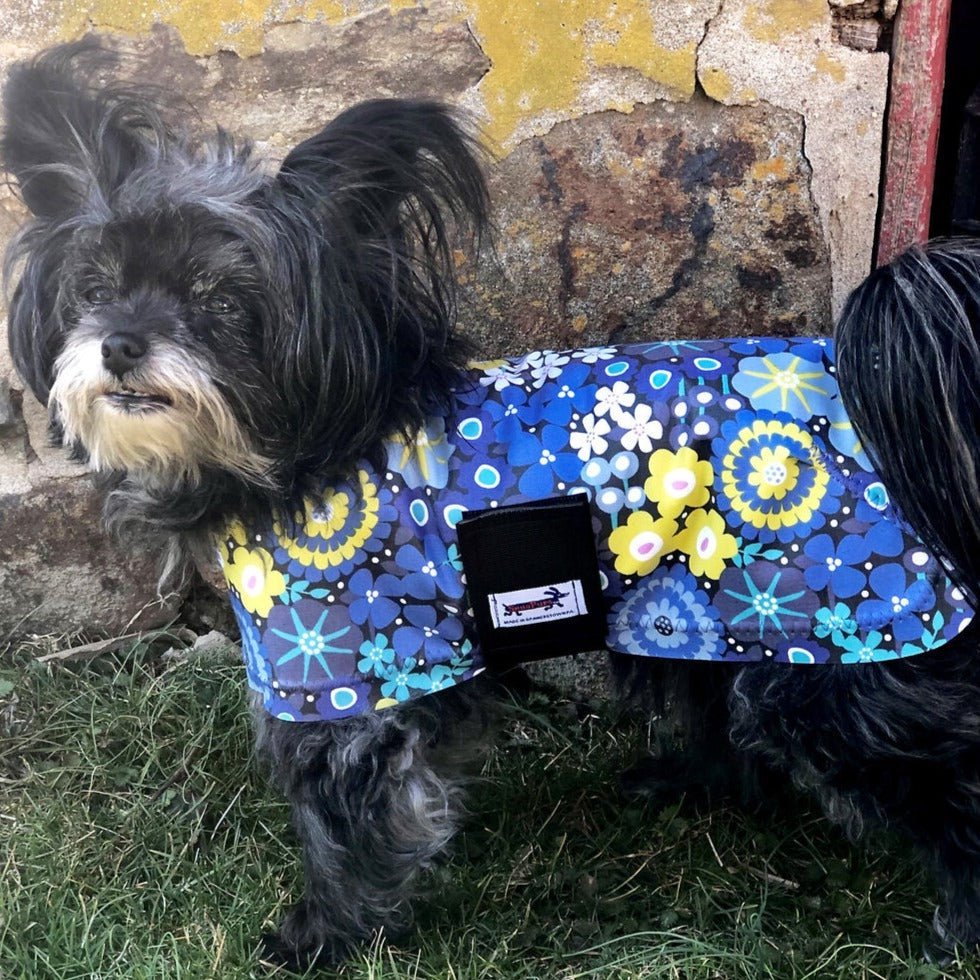 Flower Power Dog Raincoat – Little Hippie - Main Image
