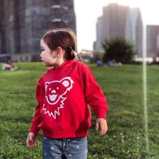 Grateful Dead Dancing Bear Face Toddler Hoodie on child in park
