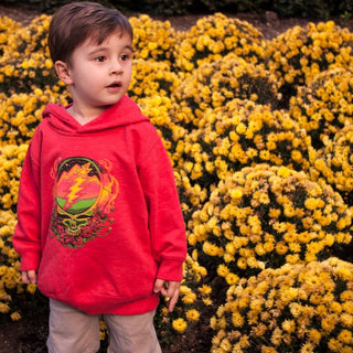 Grateful Dead Scarlet Fire Stealie Toddler Hoodie | Little Hippie