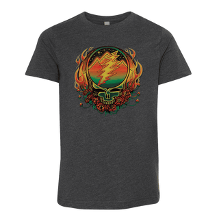 Grateful Dead Scarlet Fire Stealie Youth T Shirt | Little Hippie