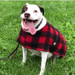 Buffalo Plaid Dog Coat