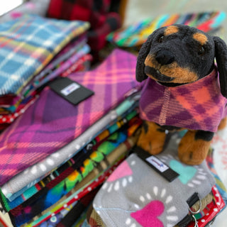 Plum Navajo Dog Coat