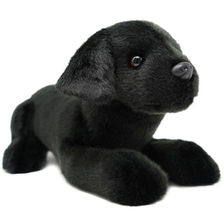 Blythe the Black Lab