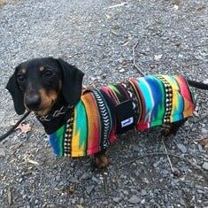 Baja Fleece Dog Coat
