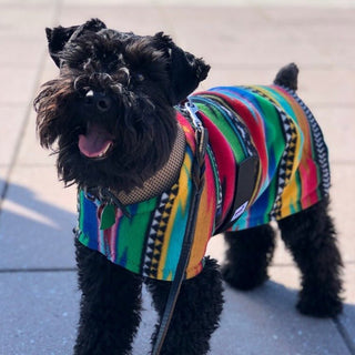 Baja Fleece Dog Coat