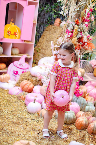 Retro Pink Plaid Peter Pan Collar Girls Dress