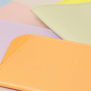 Two Tone Eyeglass Case