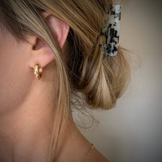 Chubbie Hoops Gold Earrings
