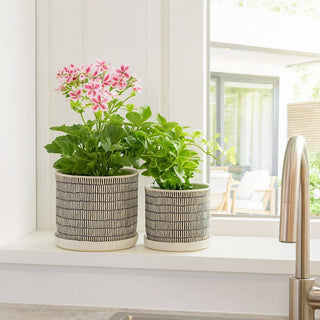 Ivory Ceramic Line Planters with Saucer