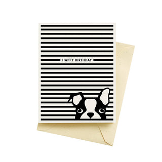 Dog Stripes Birthday Cards