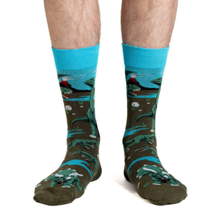 Dinosaur World Men's Socks