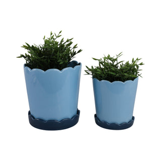 Blue Ceramic Scallop Planter