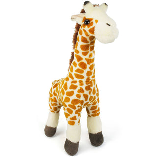 Evelyn The Giraffe