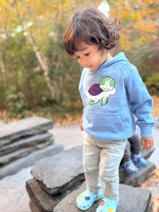 Turtle in the Clouds Toddler Hoodie