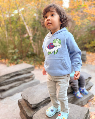 Turtle in the Clouds Toddler Hoodie