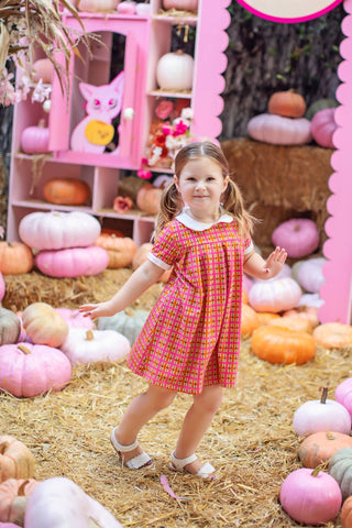 Retro Pink Plaid Peter Pan Collar Girls Dress
