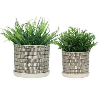 Ivory Ceramic Line Planters with Saucer