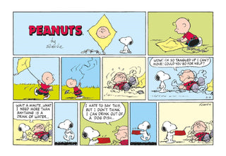 Peanuts Assorted Post Cards