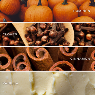 Pumpkin Spice 9 oz Soy Candle