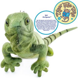 Igor The Iguana