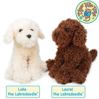 Luka The Labradoodle