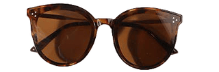Round Frame Thin Arm Sunglasses