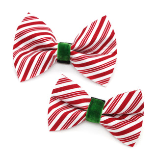 Peppermint Dog Bow Tie
