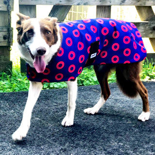 Phish Donut Canvas Dog Coat / Snug Pups | Little Hippie