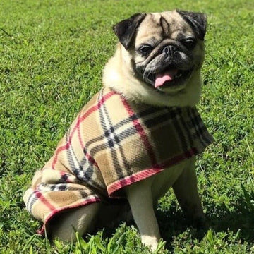 London Camel Plaid Fleece Dog Coat