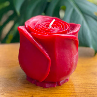 Grande Red Beeswax Rose Candle