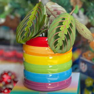 Stacked Rainbow Planter