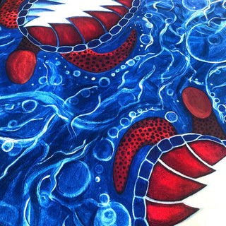 Grateful Dead Swimming Terrapins Coral Fleece Blanket | Little Hippie
