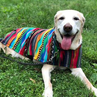 Baja Fleece Dog Coat